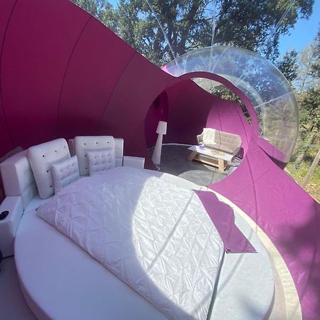 Bed and Breakfast Les Perles Catalanes Vinca Екстер'єр фото