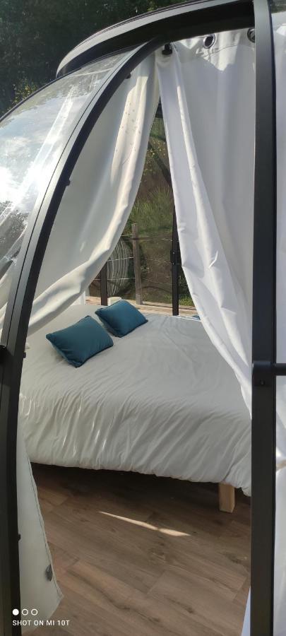Bed and Breakfast Les Perles Catalanes Vinca Екстер'єр фото